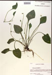 000019847-thumbnail.jpg