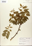000021683-thumbnail.jpg