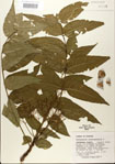 000021684-thumbnail.jpg