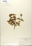000021687-thumbnail.jpg