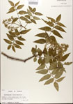 000021690-thumbnail.jpg