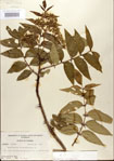 000021691-thumbnail.jpg