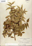 000021694-thumbnail.jpg