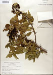 000021697-thumbnail.jpg