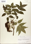 000021701-thumbnail.jpg