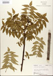 000021711-thumbnail.jpg