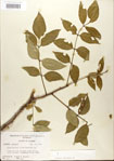 000021713-thumbnail.jpg