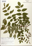 000024345-thumbnail.jpg