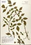 000024346-thumbnail.jpg