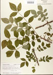 000024347-thumbnail.jpg