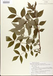 000024348-thumbnail.jpg