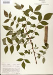 000024349-thumbnail.jpg