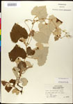 000025683-thumbnail.jpg