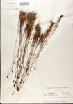 000025790-thumbnail.jpg