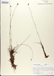 000025792-thumbnail.jpg
