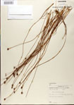000025793-thumbnail.jpg