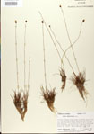 000025795-thumbnail.jpg