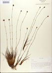 000025796-thumbnail.jpg