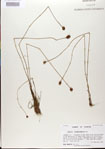 000025819-thumbnail.jpg