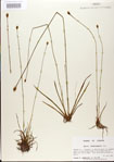 000025820-thumbnail.jpg