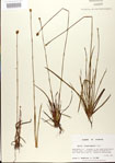 000025822-thumbnail.jpg
