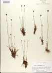 000025823-thumbnail.jpg