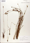 000025828-thumbnail.jpg
