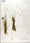 000025829-thumbnail.jpg