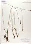 000025830-thumbnail.jpg