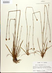 000025833-thumbnail.jpg