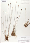 000025846-thumbnail.jpg