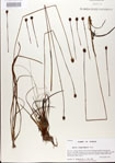 000025847-thumbnail.jpg