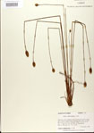 000025849-thumbnail.jpg
