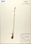 000025850-thumbnail.jpg
