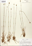 000025852-thumbnail.jpg