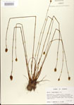 000025853-thumbnail.jpg