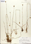 000025854-thumbnail.jpg