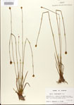 000025855-thumbnail.jpg