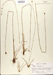 000025857-thumbnail.jpg