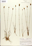 000025859-thumbnail.jpg