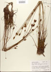 000025860-thumbnail.jpg