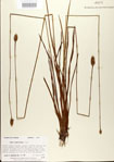 000025862-thumbnail.jpg