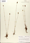 000025863-thumbnail.jpg
