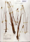 000025866-thumbnail.jpg