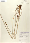 000025867-thumbnail.jpg