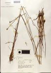 000025870-thumbnail.jpg