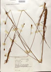 000025873-thumbnail.jpg