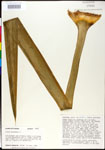 000027602-thumbnail.jpg