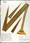 000027603-thumbnail.jpg