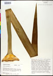 000027604-thumbnail.jpg